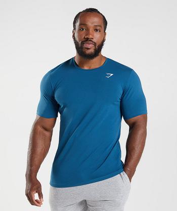 T Shirts Męskie Gymshark Essential Niebieskie | PL 3810WNB